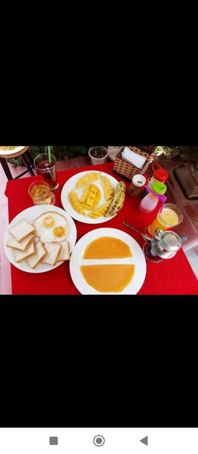 Mr. Viet Home Stay 宁平 外观 照片