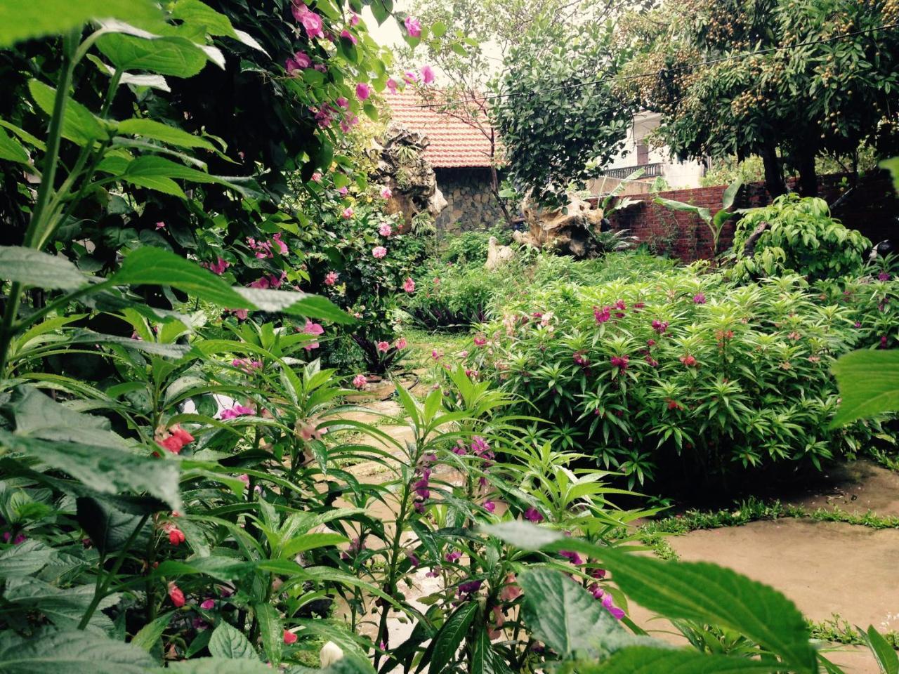 Mr. Viet Home Stay 宁平 外观 照片