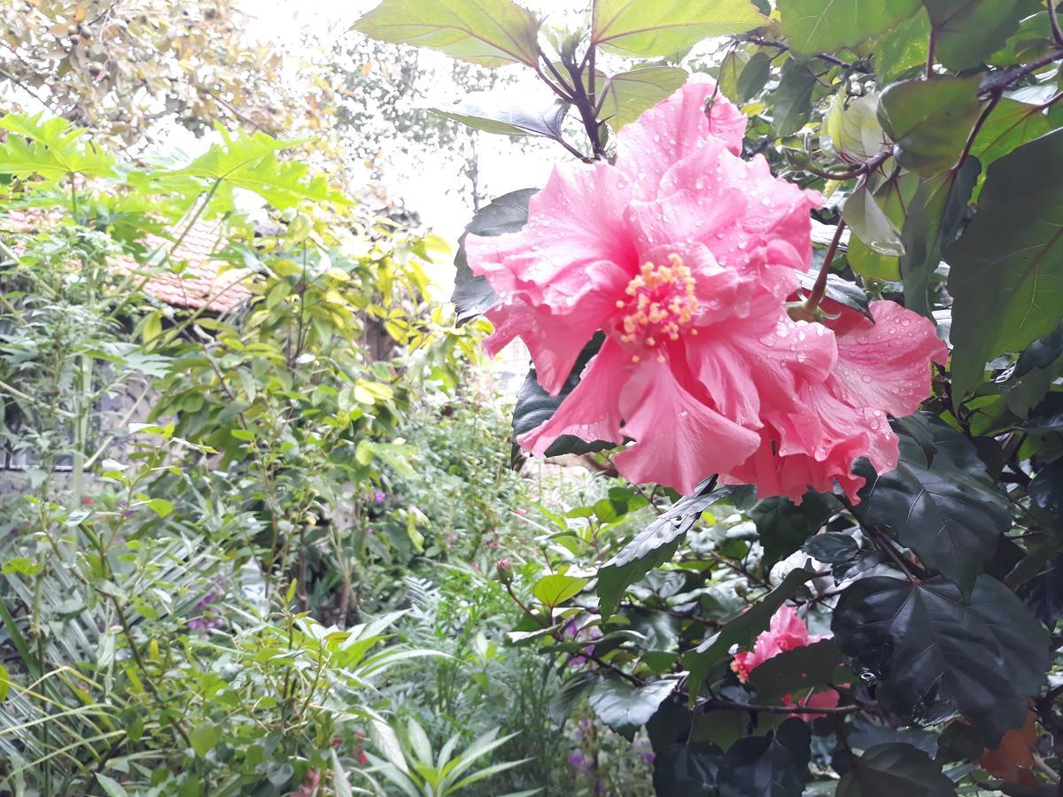 Mr. Viet Home Stay 宁平 外观 照片