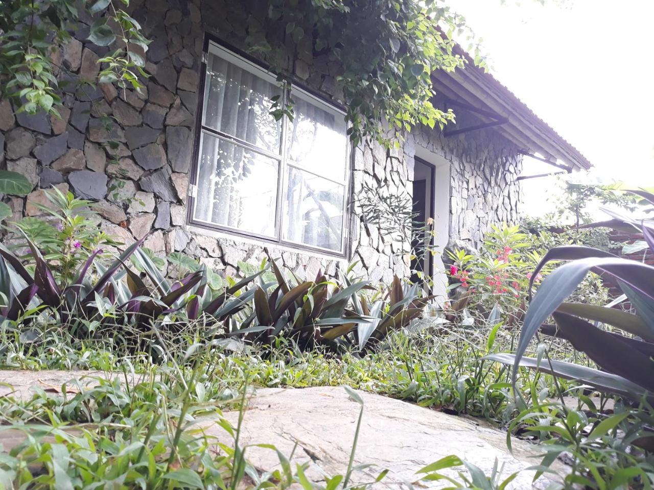 Mr. Viet Home Stay 宁平 外观 照片
