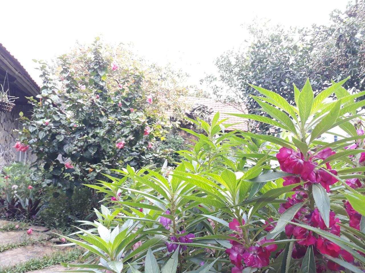 Mr. Viet Home Stay 宁平 外观 照片