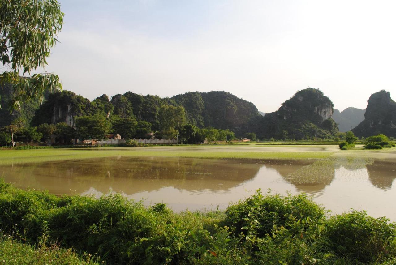Mr. Viet Home Stay 宁平 外观 照片
