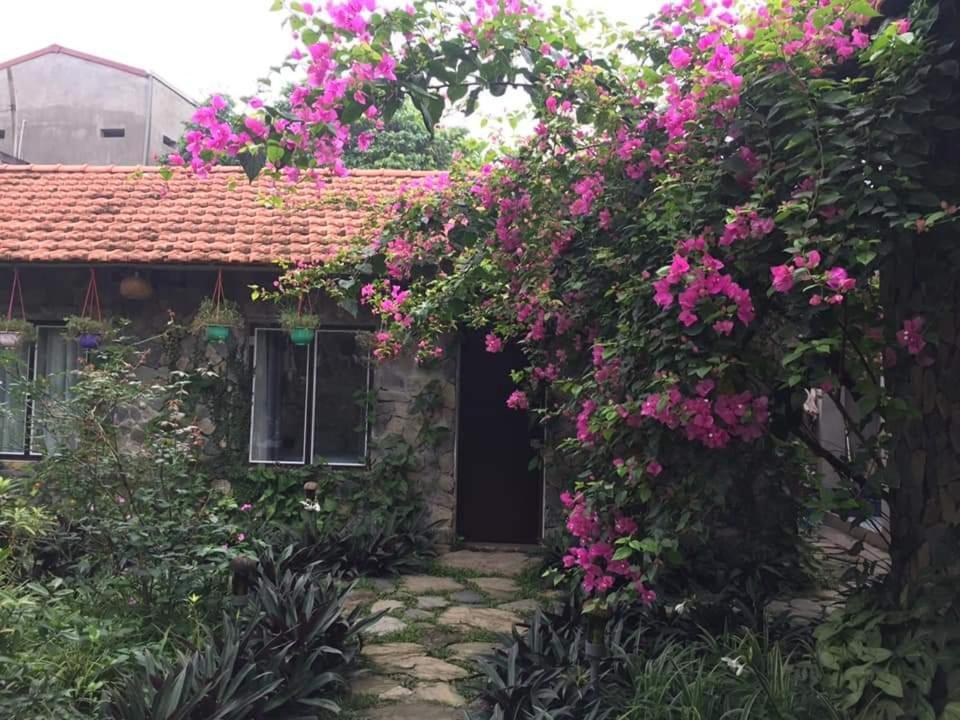 Mr. Viet Home Stay 宁平 外观 照片