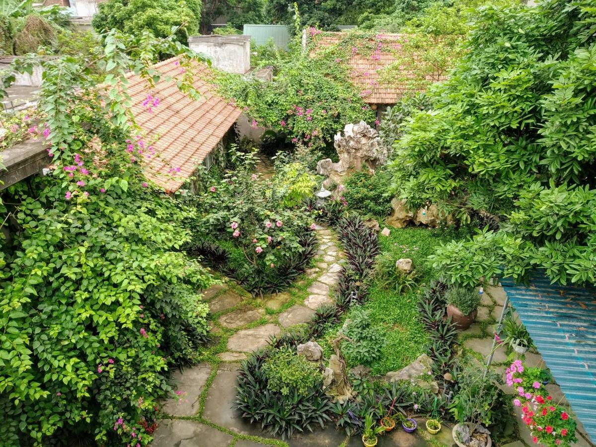 Mr. Viet Home Stay 宁平 外观 照片