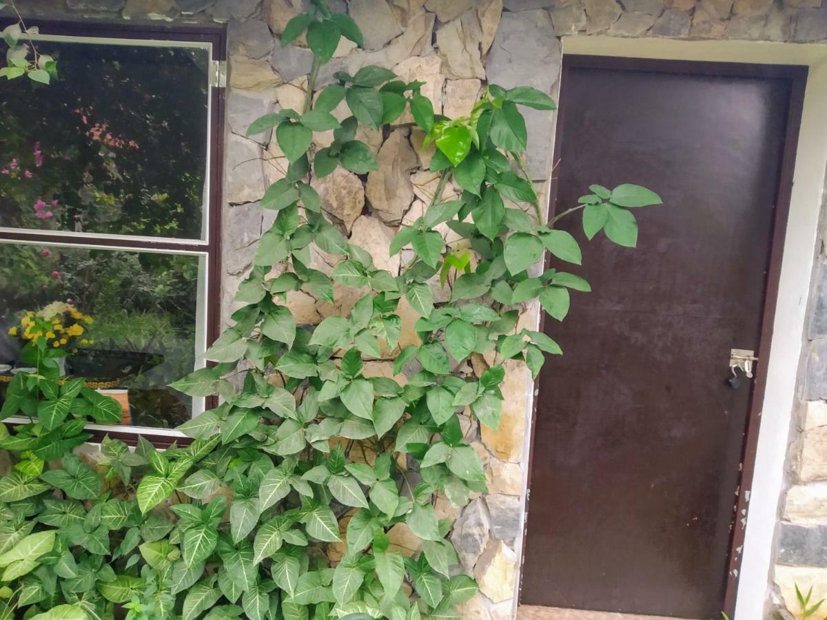 Mr. Viet Home Stay 宁平 外观 照片
